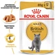 Упаковка вологого корму для дорослих кішок Royal Canin British Shorthair Adult 85 г х 12 шт (9003579001257) (20320010)A - изображение 3