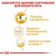 Упаковка вологого корму для дорослих кішок Royal Canin British Shorthair Adult 85 г х 12 шт (9003579001257) (20320010)A - изображение 6