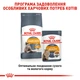 Упаковка вологого корму для дорослих кішок Royal Canin Intense Beauty in Gravy 85 г х 12 шт (9003579308929) (40710010)A - зображення 7