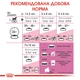 Сухий корм для кошенят Royal Canin Kitten 400 г (3182550702379) (25220049)A - изображение 6