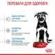 Сухий корм для цуценят великих порід Royal Canin Maxi Puppy від 2 до 15 місяців 15 кг (3182550402163) (30061501)A - изображение 5