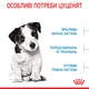 Сухий корм для цуценят Royal Canin Puppy Mini дрібних порід вагою до 10 кг від 2 до 10 місяців 800 г (3182550792929) (30000082)A - зображення 4