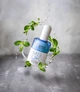 Шампунь Mocheqi Musk Освежающая мята для всех типов волос 318 мл (2100000219452) - изображение 2
