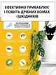 Набір 20 чорних пасток від мошок і мурах, чорна липучка для дому, саду, балкону - зображення 3