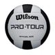 Мяч волейбольный Wilson Pro Tour, размер 5 - изображение 2