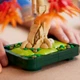 Конструктор Lego Botanicals Бонсай з японського червоного клена, 10348 - изображение 7