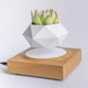 Магнітний левітаційний горщик для рослин HCNT Magnetic Levitating Pot M10-FP Wood Grain - зображення 1