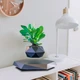 Магнітний левітаційний горщик для рослин HCNT Magnetic Levitating Pot M10-PZ1 Black (SIM10-PZ1) - зображення 4