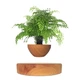Магнітний левітаційний горщик для рослин HCNT Magnetic Levitating Pot M10-PS Wood Grain - зображення 1