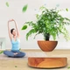 Магнітний левітаційний горщик для рослин HCNT Magnetic Levitating Pot M10-PS Wood Grain - зображення 2