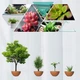 Магнітний левітаційний горщик для рослин HCNT Magnetic Levitating Pot M10-PS Wood Grain - зображення 4