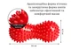 Массажный мячик EasyFit Goober с шипами красный - изображение 3
