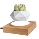 Магнитный левитирующий горшок вазон для растений HCNT Magnetic Levitating Pot M10-FP ABS Wood Grain (SIM10-FP) - изображение 1