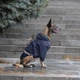Куртка-дождевик для собак Noble Pet Moss Blue 5XL (M4106/5XL) - изображение 10