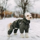 Комбінезон для собак Noble Pet Travis M - зображення 6