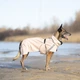 Дощовик для собак Noble Pet Rio Sand 2XL (R4135/2XL) - изображение 9
