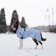 Дощовик для собак Noble Pet Rio Light Blue 2XL (R4137/2XL) - изображение 5