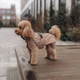 Дощовик для собак Noble Pet Rio Sand 2XL (R4135/2XL) - изображение 11
