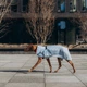 Дощовик для собак Noble Pet Rio Light Blue 2XL (R4137/2XL) - изображение 8
