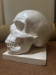 Череп людський лакерований декор White ABC handmade - зображення 2