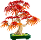 Zestaw klocków LEGO Botanicals Klon palmowy bonsai 474 elementy (10348) - obraz 3