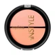 Рум'яна двохколірні TopFace Instyle Twin Blush On №002, 10 г (8681217226241) - изображение 1