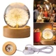 Настільний нічник з натуральною квіткою кульбабою Crystal Ball "Round Dandelion" у прозорій кулі - зображення 3