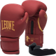Боксерские перчатки Leone GN059X 14 унций Bordeaux Ed (капа в комплекте) (GN059X_BORDEAUX_14oz) - изображение 1