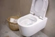 Унітаз підвісний EluPura S 540 мм AquaFall Flush 60193450 + сидіння soft close 60148450 - изображение 2