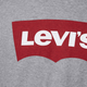 Футболка бавовняна чоловіча Levi's Graphic Setin Neck 17783-0138 S Graphic H21 (5415211983243) - зображення 4