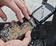 Мобильный телефон для пожилых людей Agm M8 Flip - изображение 3