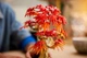 Конструктор LEGO Botanicals Пальма бонсай клен 474 элемента (10348) - изображение 10