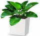 Горщик для квітів Prosperplast Urbi Square Low 29,5х29,5х29 см білий пластиковий (DURS300L-S449) - зображення 3