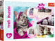 Пазл Trefl Милые котята 160 элементов (5900511153712) - изображение 1