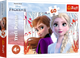 Пазл Trefl Frozen II Очарованный мир Анны и Эльзы 60 элементов (5900511173338) - изображение 1