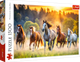 Puzzle Trefl Dzikie konie 1500 elementów 26215 (5900511262155) - obraz 1
