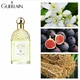 Guerlain Aqua Allegoria Nerolia Vetiver Туалетная вода Унисекс, 125 мл Тестер - изображение 4