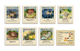 Настільна гра Rozum catan. Мореплавці (Seafarers) - зображення 7