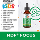 Натуральный пробиотик в каплях, для концентрации внимания Bioray Kids NDF FOCUS® цитрусовый вкус 59 мл - изображение 3