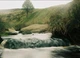 Цветная фотопленка KODAK GOLD 200/24 35мм 1 катушка 24 кадра - изображение 6