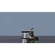 Варочная поверхность Electrolux EIS77453 - изображение 6