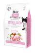 Корм сухой Brit Care Cat Grain Free Sterilized Sensitive для стерелизованных кошек с кроликом 400г - изображение 1