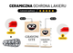Zestaw  K 2 powłoka ceramiczna lakieru gravon lite set 50 ml g 033 (5906534044143) - obraz 7