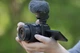 Sony Об'єктив 16-50mm f/3.5-5.6 OSS II для NEX - зображення 3
