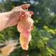 Лабубу брелок labubuBig into Energy м'яка іграшка аксесуар для сумки іграшка сюрприз - зображення 9