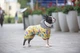 Комбинезон для собак WAUDOG Clothes рисунок Рик и Морти 3 M45 В 57-60 см С 41-44 см Yellow (5445-0282) - изображение 4