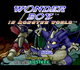 Gra Nintendo Switch Wonder Boy Collection (Kartridż) (4260650743719) - obraz 4