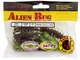 Силікон Alien Bug Lucky John Pro Series 2.5in / 63мм / 7шт / колір T44 (140165-T44) - изображение 2