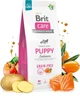 Корм для цуценят Brit Care Dog Grain-free Puppy беззерновий з лососем 3 кг (8595602558810) - изображение 2