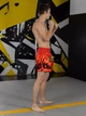 Тренувальні MMA шорти для тайського боксу, єдиноборств Sanda, UFC для спорту another boxer червоні, нар. XS (5-7 років)) - зображення 7